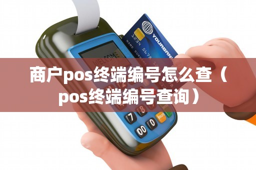 商户pos终端编号怎么查（pos终端编号查询）