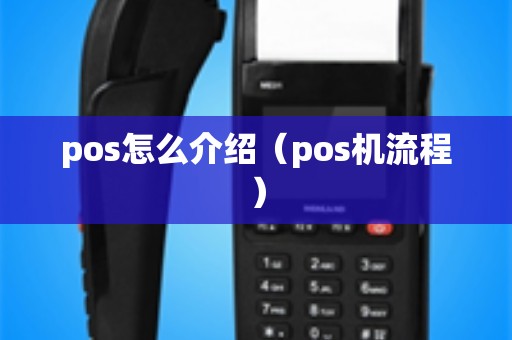 pos怎么介绍（pos机流程）