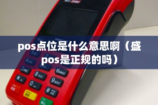 pos点位是什么意思啊（盛pos是正规的吗）