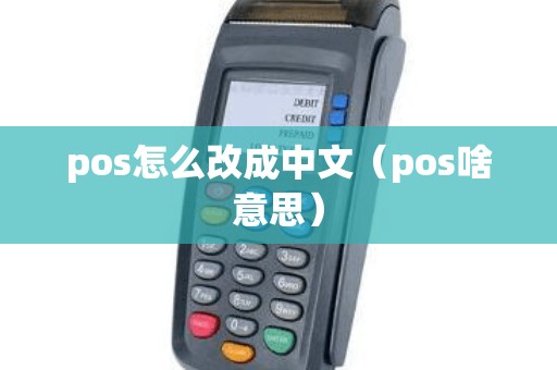 pos怎么改成中文（pos啥意思）