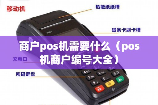 商户pos机需要什么（pos机商户编号大全）