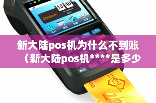 新大陆pos机为什么不到账（新大陆pos机****是多少号）