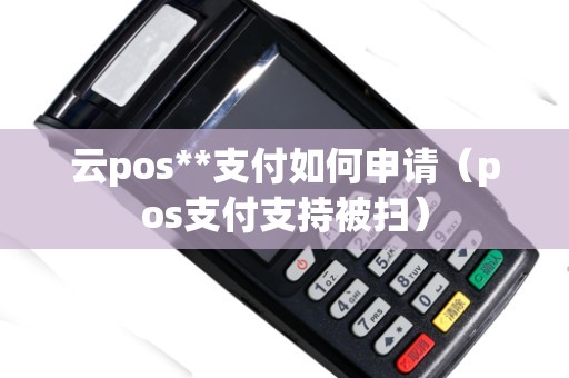 云pos**支付如何申请（pos支付支持被扫）