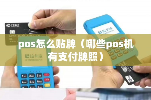 pos怎么贴牌（哪些pos机有支付牌照）