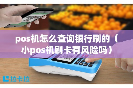 pos机怎么查询银行刷的（小pos机刷卡有风险吗）