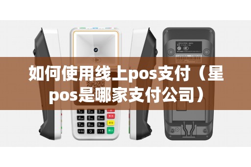 如何使用线上pos支付（星pos是哪家支付公司）