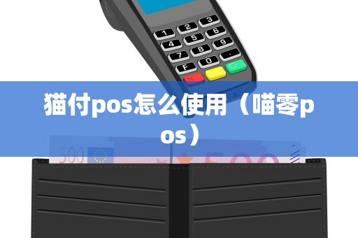 猫付pos怎么使用（喵零pos）