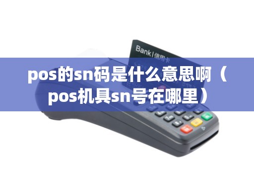 pos的sn码是什么意思啊（pos机具sn号在哪里）