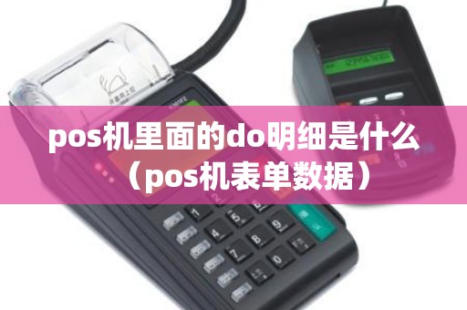 pos机里面的do明细是什么（pos机表单数据）