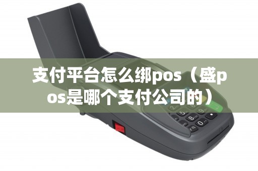 支付平台怎么绑pos（盛pos是哪个支付公司的）