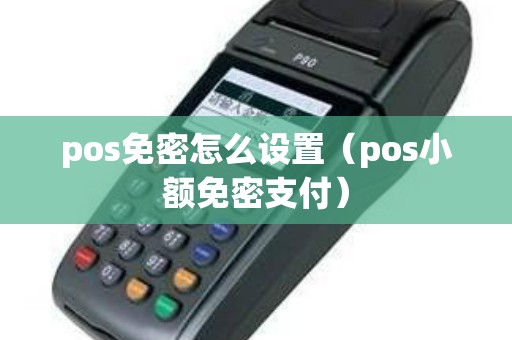 pos免密怎么设置（pos小额免密支付）