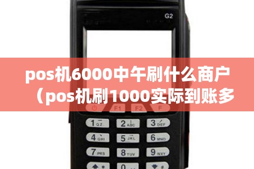 pos机6000中午刷什么商户（pos机刷1000实际到账多少）