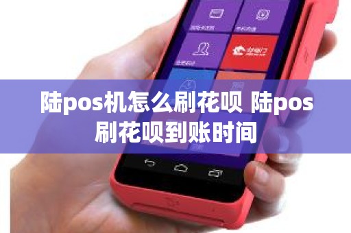 陆pos机怎么刷花呗 陆pos刷花呗到账时间