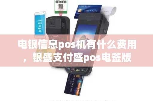 电银信息pos机有什么费用，银盛支付盛pos电签版
