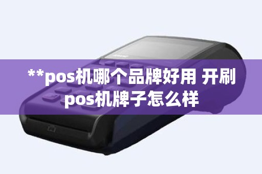 **pos机哪个品牌好用 开刷pos机牌子怎么样