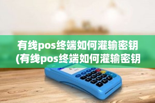 有线pos终端如何灌输密钥(有线pos终端如何灌输密钥)