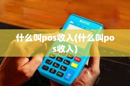 什么叫pos收入(什么叫pos收入)