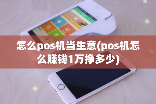怎么pos机当生意(pos机怎么赚钱1万挣多少)