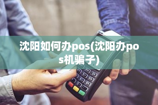 沈阳如何办pos(沈阳办pos机骗子)