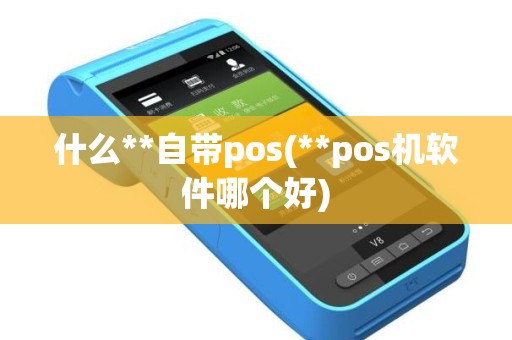 什么**自带pos(**pos机软件哪个好)