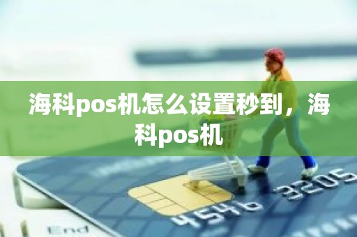 海科pos机怎么设置秒到，海科pos机