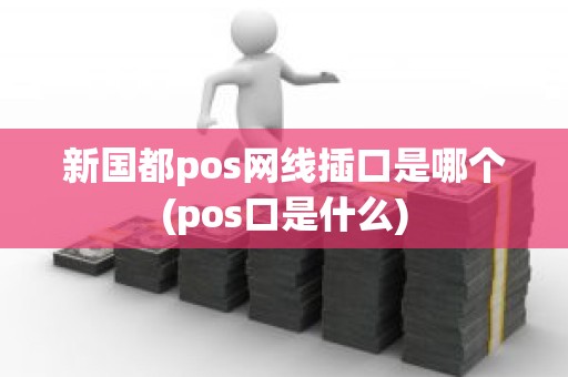 新国都pos网线插口是哪个(pos口是什么)
