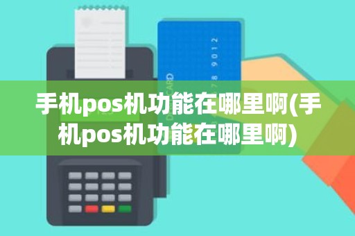 手机pos机功能在哪里啊(手机pos机功能在哪里啊)