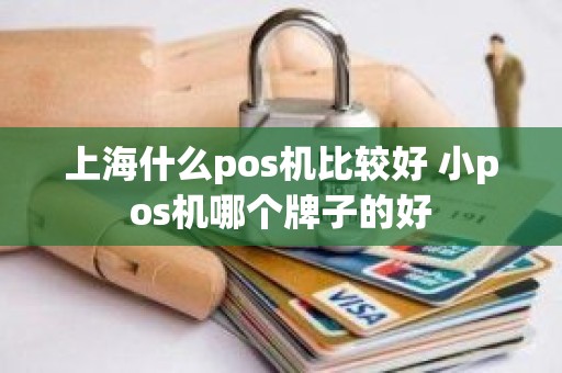 上海什么pos机比较好 小pos机哪个牌子的好