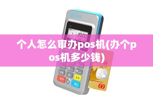 个人怎么审办pos机(办个pos机多少钱)
