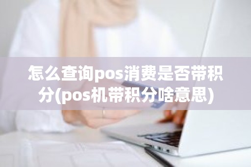 怎么查询pos消费是否带积分(pos机带积分啥意思)