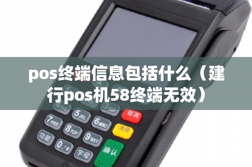 pos终端信息包括什么（建行pos机58终端无效）