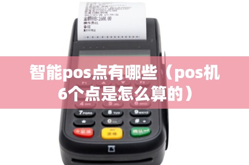 智能pos点有哪些（pos机6个点是怎么算的）