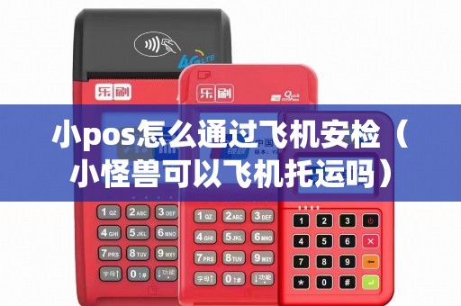 小pos怎么通过飞机安检（小怪兽可以飞机托运吗）