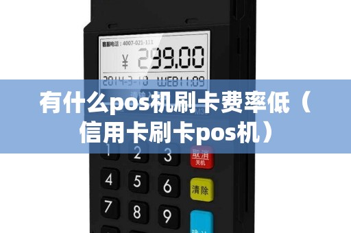 有什么pos机刷卡费率低（信用卡刷卡pos机）
