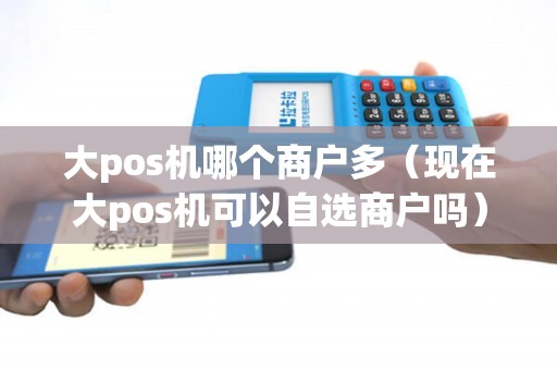 大pos机哪个商户多（现在大pos机可以自选商户吗）
