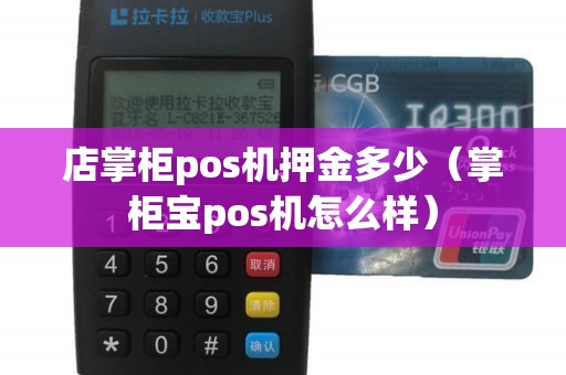 店掌柜pos机押金多少（掌柜宝pos机怎么样）