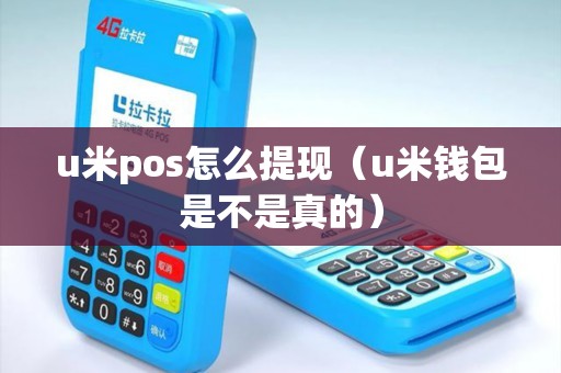 u米pos怎么提现（u米钱包是不是真的）