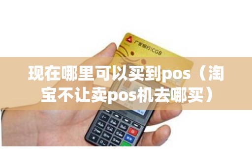 现在哪里可以买到pos（淘宝不让卖pos机去哪买）