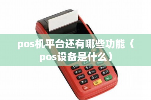 pos机平台还有哪些功能（pos设备是什么）