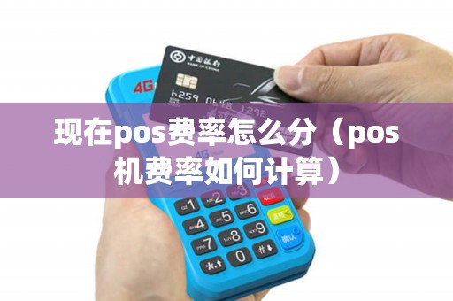现在pos费率怎么分（pos机费率如何计算）