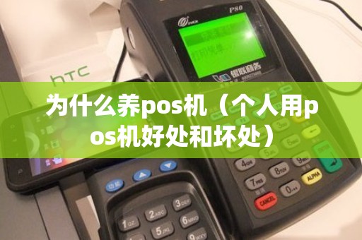 为什么养pos机（个人用pos机好处和坏处）