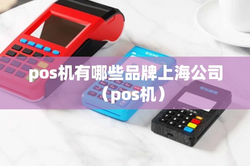 pos机有哪些品牌上海公司（pos机）