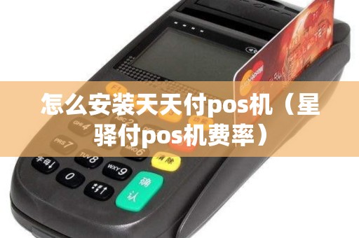怎么安装天天付pos机（星驿付pos机费率）
