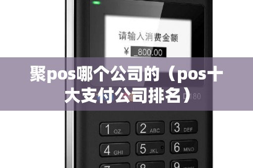 聚pos哪个公司的（pos十大支付公司排名）