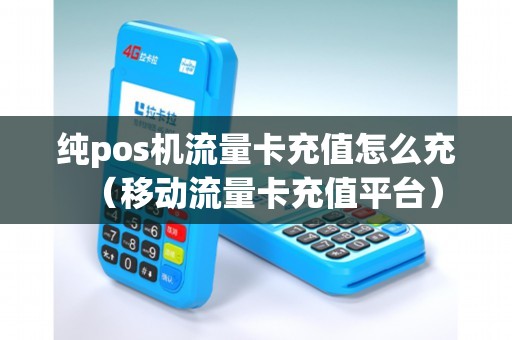 纯pos机流量卡充值怎么充（移动流量卡充值平台）