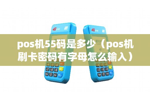 pos机55码是多少（pos机刷卡密码有字母怎么输入）