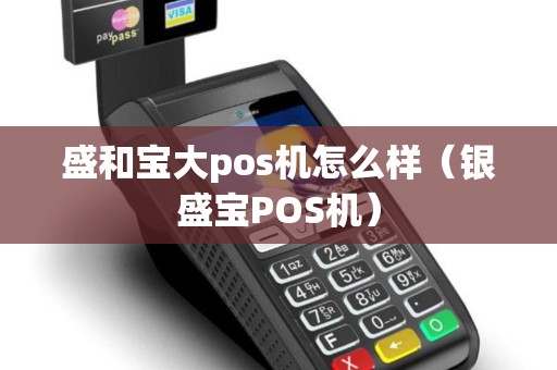 盛和宝大pos机怎么样（银盛宝POS机）