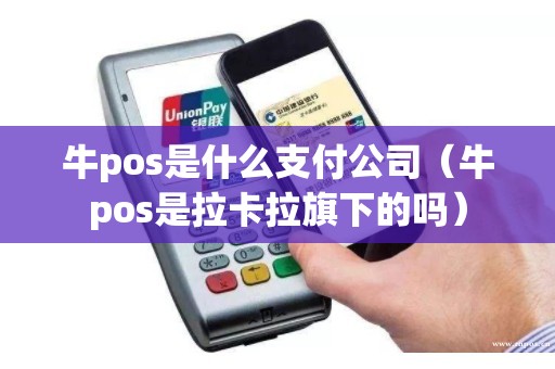 牛pos是什么支付公司(牛pos是拉卡拉旗下的吗) 牛pos是什么支付公司(牛pos是拉卡拉旗下的吗)