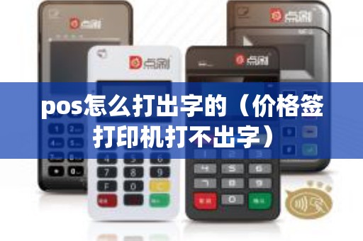 pos怎么打出字的（价格签打印机打不出字）