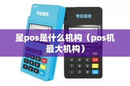 星pos是什么机构（pos机最大机构）